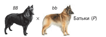 0603jlui-4f7f-356x124.png