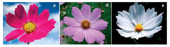 0603jm2h-00ab-545x150.png