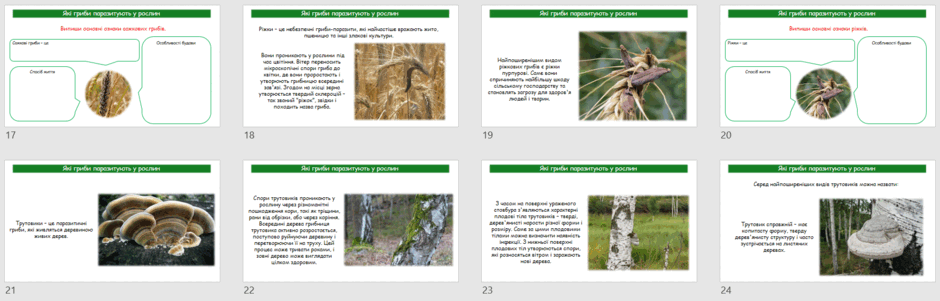 0603jmd0-5b20-940x301.png