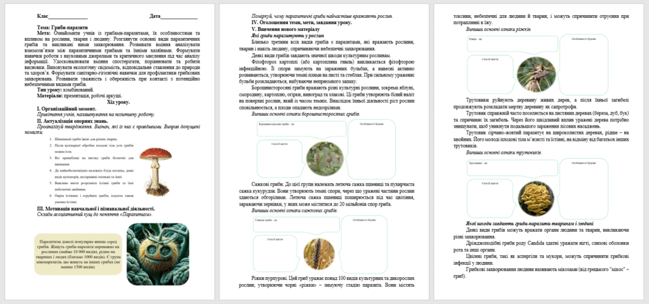 0603jmdf-362d-940x441.png
