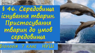 Презентація «§ 46. Середовища існування тварин. Пристосування тварин"  7клас НУШ