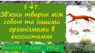 Презентація «§ 47. Зв’язки тварин між собою та іншими організмами в екосистемах»  7клас НУШ