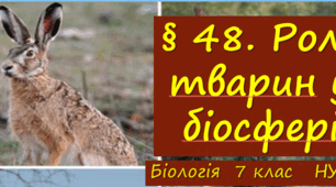 Презентація  до уроку  «§ 48. Роль тварин у біосфері»    7клас НУШ