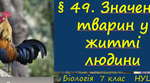 Презентація   «§ 49. Значення тварин у житті людини»   7клас  НУШ