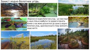 2 лютого-Всесвітній день водно-болотних угідь. 