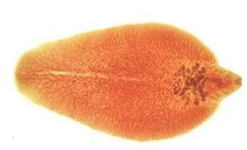 0603jpui-c6bc-791x481.png