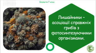 Презентація, конспект уроку та робочі аркуші на тему "Лишайники – асоціації справжніх грибів з фотосинтезуючими організмами". 7 клас НУШ