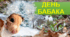 День Бабака