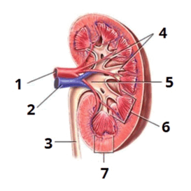 0603jsub-618a-273x273.png