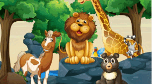 Animals
