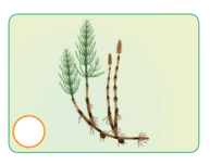 0603jtsv-2613-119x94.png