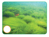 0603juds-f50c-202x153.png