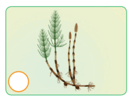 0603juhg-d6ac-195x151.png