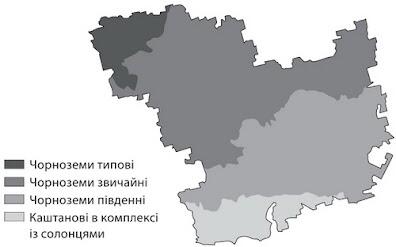 Зображення без підпису