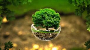 Властивості та характеристики екосистем. Типи зв’язків між популяціями різних видів в екосистемах