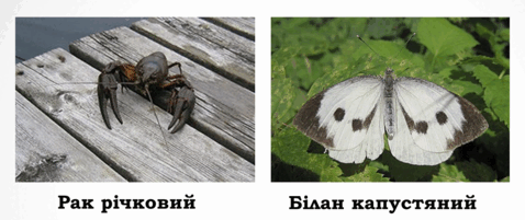 0603jxlg-58d0-478x201.png