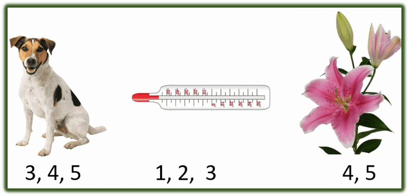 0603jxtd-e0bc-807x387.png