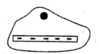 0603jyca-1796-196x106.png