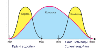 0603k0cu-fdf3-402x199.png