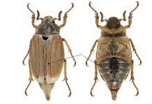0603k24n-9976-218x150.png