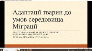 Презентація за темою "Адаптації тварин до умов середовища. Міграції"