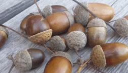 0603k3qs-f690-252x145.png
