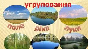 Природні угрупування