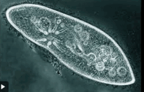 0603k5gy-8985-208x134.png