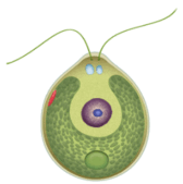 0603k5hh-10b5-168x169.png