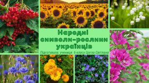 Презентація "Народні  символи-рослини українців"