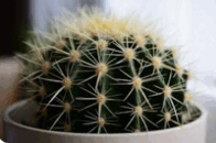 0603k5lv-bb35-196x130.png