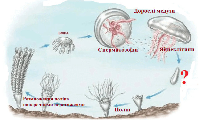 0603k60i-fbac-646x391.png