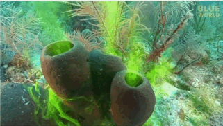 0603k67d-d5a2-321x182.png