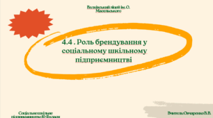 4.4 . Роль брендування у соціальному шкільному підприємництві 