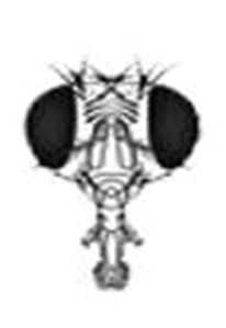 0603kcgl-2fef-206x299.png