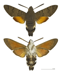 0603khsd-28a2-216x251.png