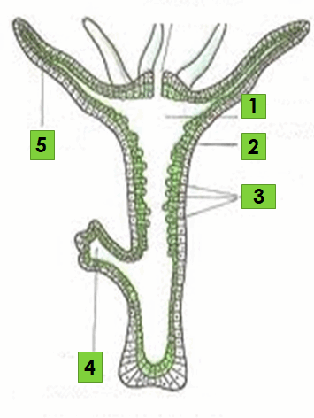 0603kinq-99c6-355x472.png