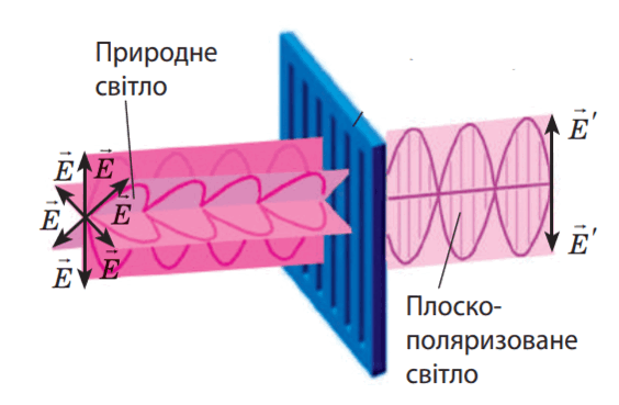 0603kiqs-43a2-565x370.png