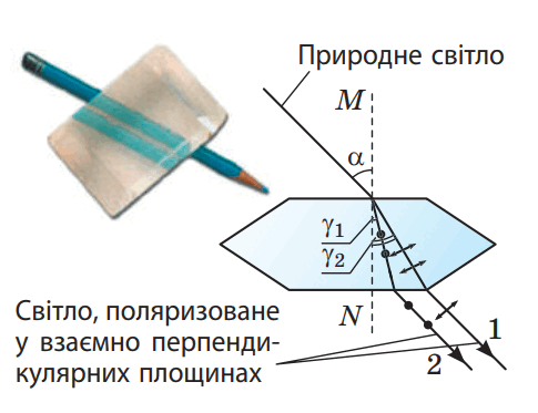 0603kiw2-95c2-485x373.png