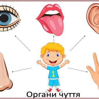 0603kk7b-3f7c-339x339.jpg