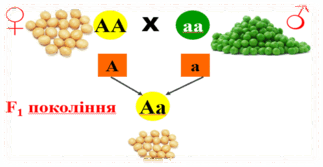 0603kmxc-a964-323x167.png