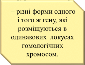 0603kn9w-1def-291x224.png