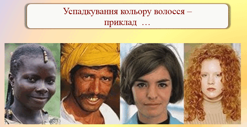 0603kngi-3492-816x421.png