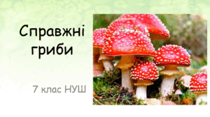 презентація "Справжні гриби"