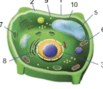 0603kvrl-8ca4-148x128.png