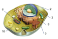 0603kvs8-5c90-197x132.png
