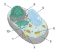 0603kvsi-52ec-183x161.png