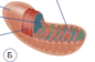0603kvvt-797e-119x77.png