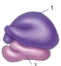 0603kvwb-a544-109x117.png