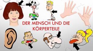 Körperteile